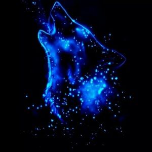 Meet your Posher, Hunter night